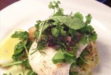 Yarra Valley Gourmet Tour